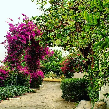 Tenuta Alle Due Querce *